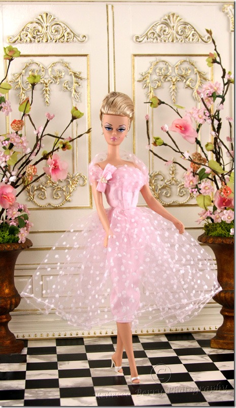 IMG_353703252011editedwmsized