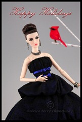 IMG_693211042011editedwmsizedwords copy