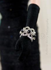 20111228-IMG_7791editedwmsized