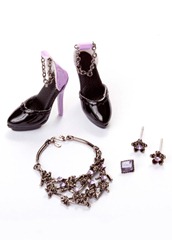 WEB_10th_Vero_access