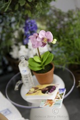 20120112-IMG_7821-Editwmsized