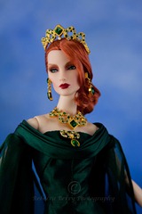 20120122-IMG_7979editedwmsized