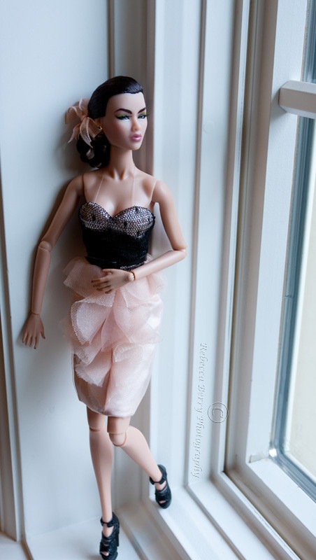 20120212-IMG_8225-Editwmsized