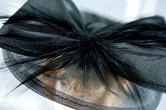 20120317-IMG_8485-Editwmsized