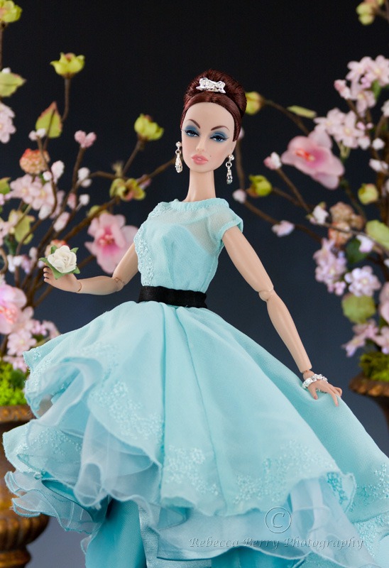 20120318-IMG_8524-Editwmsized