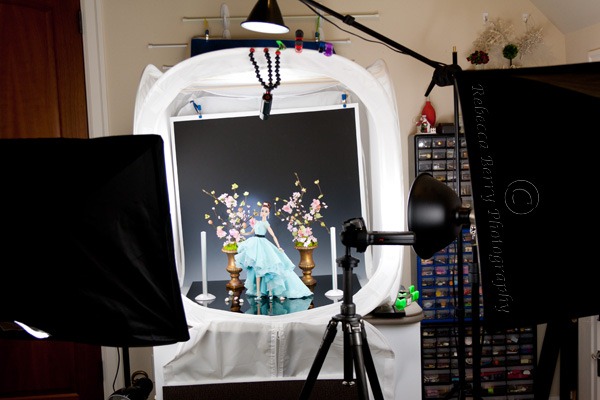 20120318-IMG_8548-Editwmsized