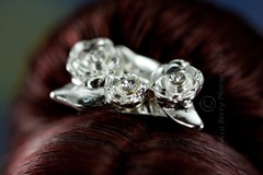 20120318-IMG_8558-Editwmsized