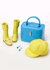 web_PP038_daytripper_access