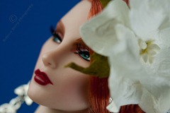 20120505-IMG_8871-Editeditedwmsized