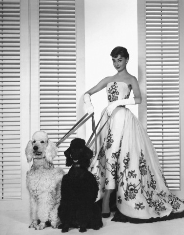 audrey-hepburn-sabrina