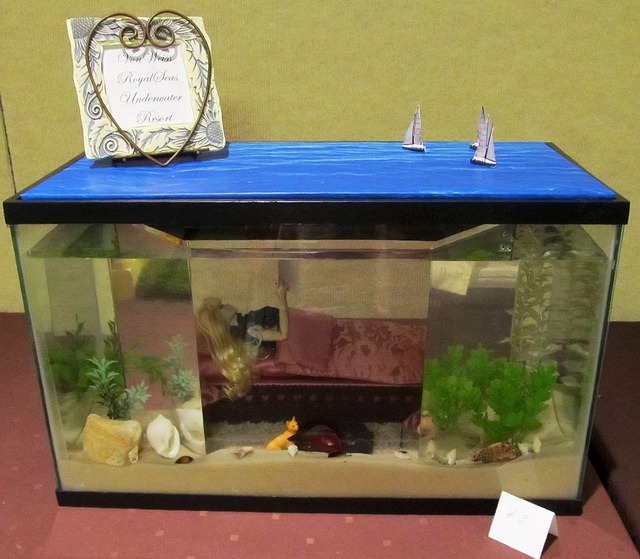 8033508710_1b0b6ee2d1_z