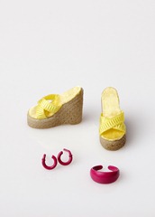 WEB_PP044_Loni_Access