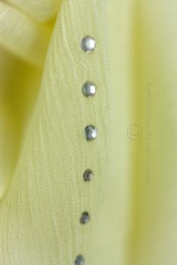 20121005-IMG_9949-Editwmsized