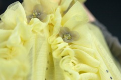 20121005-IMG_9950-Editwmsized