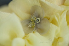 20121005-IMG_9955-Editwmsized