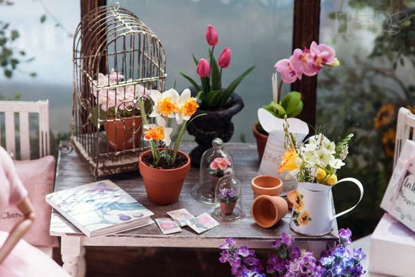 20130426-IMG_0688-Editwmsized