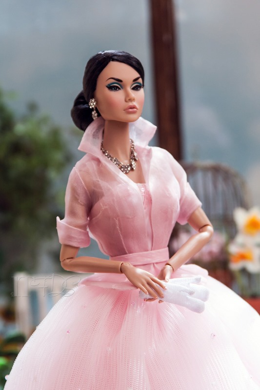 20130426-IMG_0706-Editwmsized