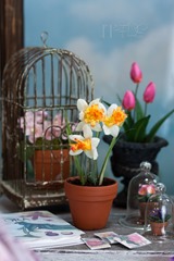 20130427-IMG_0789-Editwmsized