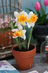 20130427-IMG_0798-Editwmsized