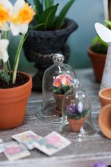 20130427-IMG_0799-Editwmsized