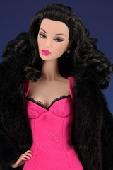 IMG_9989editedwmsized