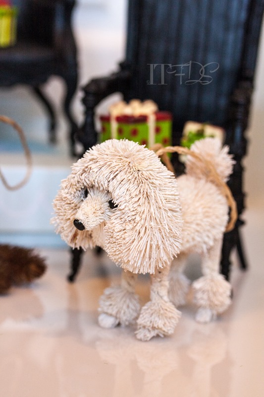 20130920-IMG_5775-Editwmsized