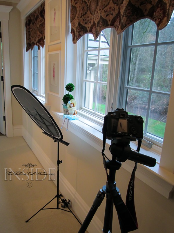 © 2014 Inside The Fashion Doll Studio