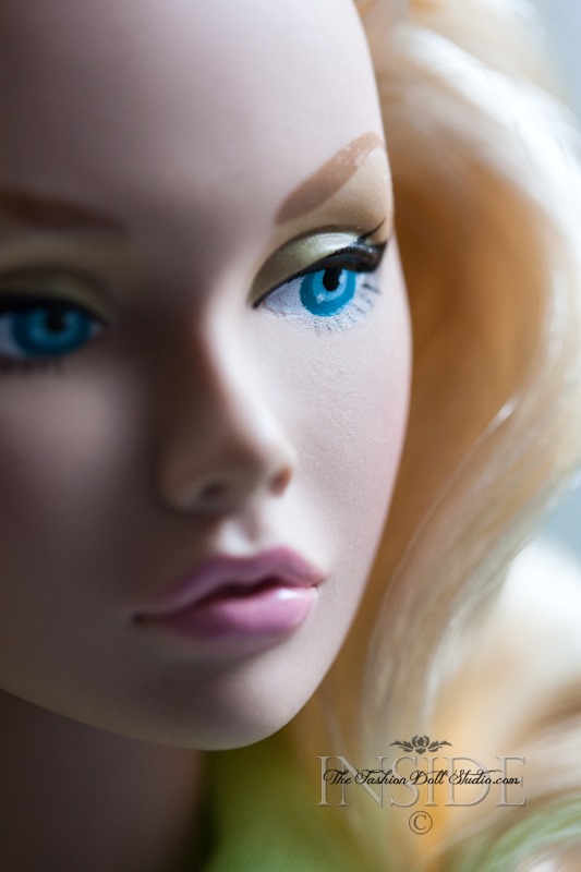 © 2014 Inside The Fashion Doll Studio