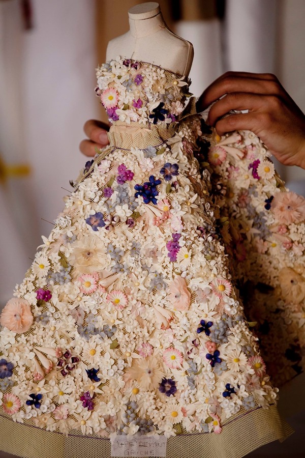 10264166_679341468787188_7619924078998362613_o