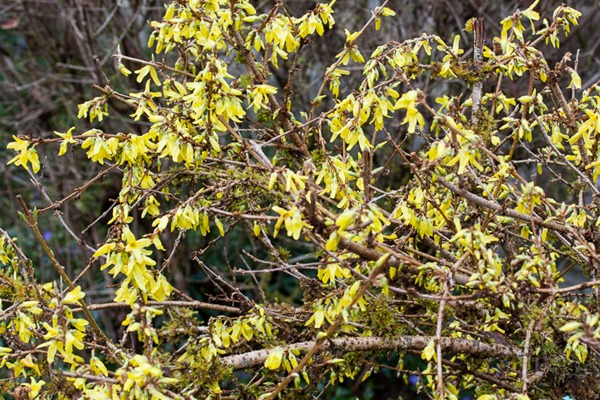 © 2015 Rebecca Berry Photography