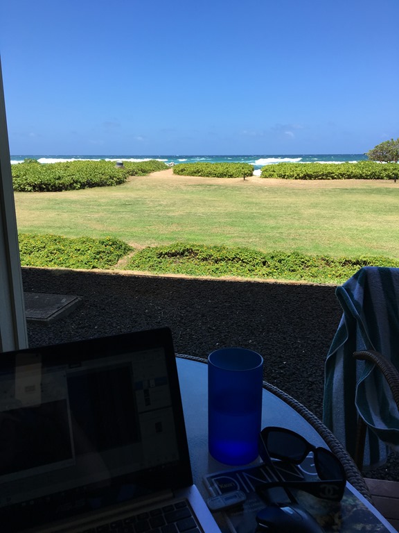 ©2016 Inside The Fashion Doll Studio