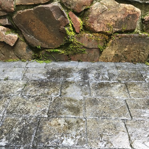 ©2016 Inside The Fashion Doll Studio - Singing In The Rain