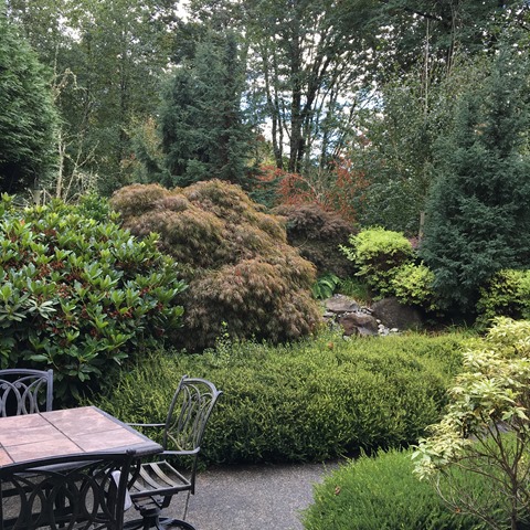 ©2016 Inside The Fashion Doll Studio - Singing In The Rain