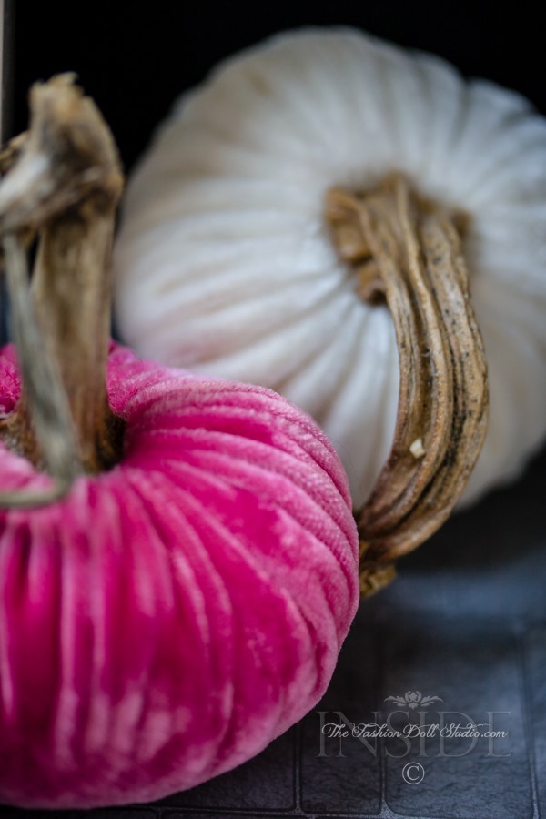 20160930IMG_4878-Edit