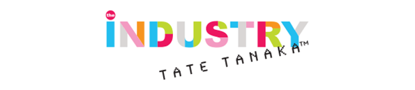 ©2017 Integrity Toys Inc