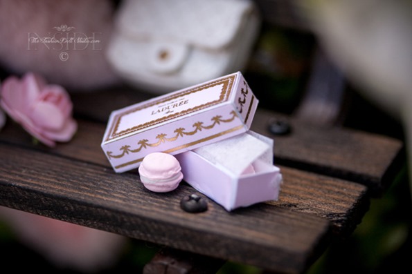 20170322IMG_6394-Edit