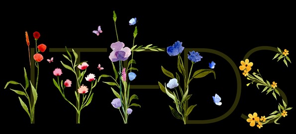 ©2021 Inside The Fashion Doll Studio 